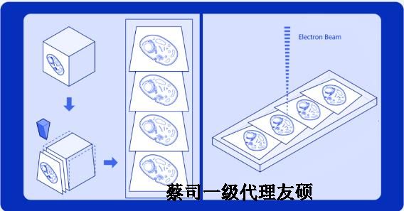 德州蔡司德州扫描电镜