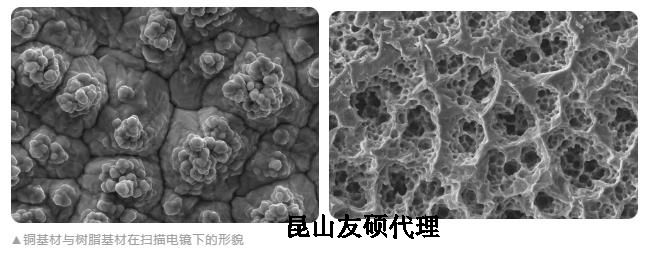 德州蔡司德州扫描电镜