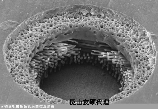 德州蔡司德州扫描电镜